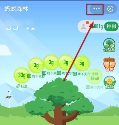 支付宝如何关闭蚂蚁森林？支付宝关闭蚂蚁森林的方法[多图]图片3