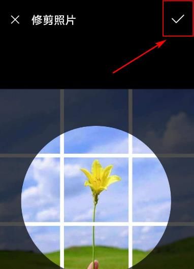 拼多多怎么修改个人头像？拼多多修改个人头像的方法[多图]图片6