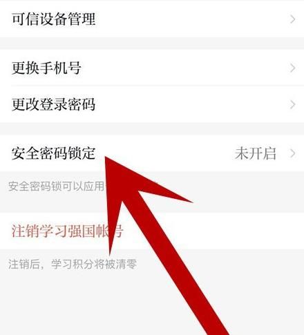 学习强国APP帐号如何开启安全锁密码？学习强国开启安全锁密码的方法[多图]图片5
