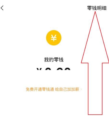 微信怎样查看明细账单？微信查看明细账单的方法[多图]图片4