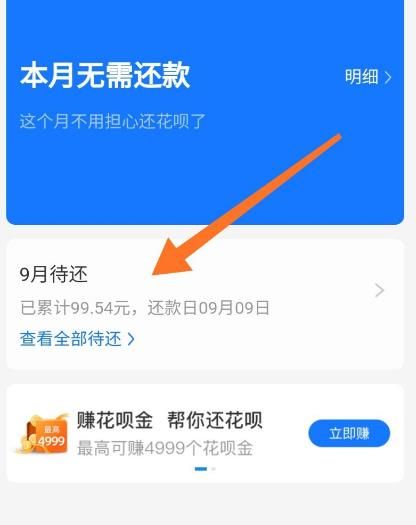 支付宝花呗如何提前还款？支付宝花呗提前还款的方法[多图]图片5