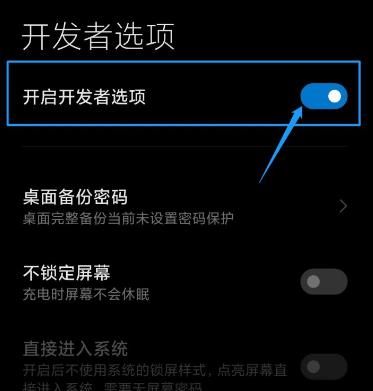 MIUI12如何开启开发者模式？MIUI12开启开发者模式的方法[多图]图片7
