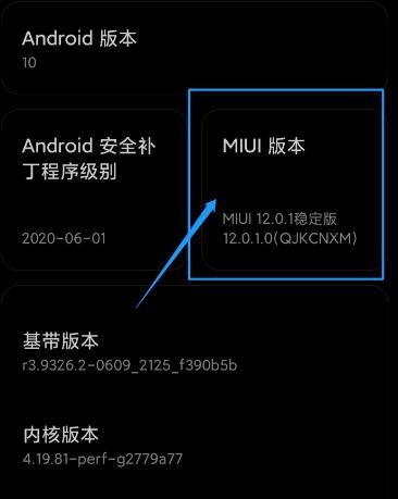 MIUI12如何开启开发者模式？MIUI12开启开发者模式的方法[多图]图片4