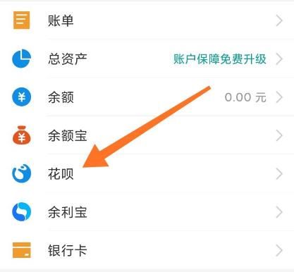 支付宝花呗如何提前还款？支付宝花呗提前还款的方法[多图]图片3
