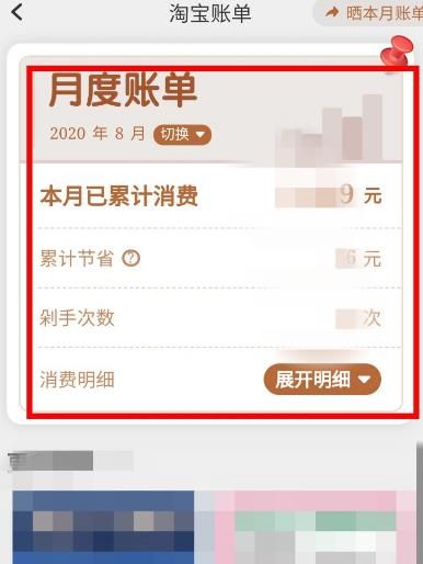 淘宝怎么查看账单？淘宝查看账单的方法[多图]图片5