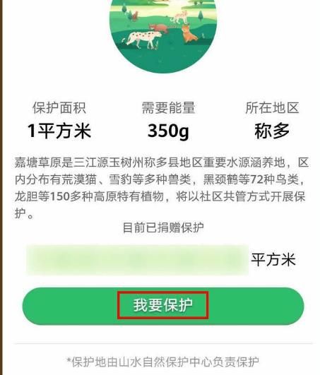 支付宝蚂蚁森林怎么集95徽章得限定装扮？支付宝蚂蚁森林集95徽章得限定装扮的方法[多图]图片6