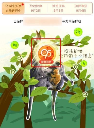支付宝蚂蚁森林怎么集95徽章得限定装扮？支付宝蚂蚁森林集95徽章得限定装扮的方法[多图]图片9