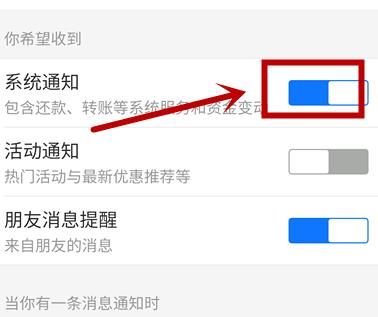 如何关闭支付宝系统通知？关闭支付宝系统通知的方法[多图]图片6