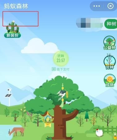 蚂蚁森林如何隐藏天气信息？蚂蚁森林隐藏天气信息的方法[多图]图片5