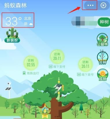 蚂蚁森林如何隐藏天气信息？蚂蚁森林隐藏天气信息的方法[多图]图片2
