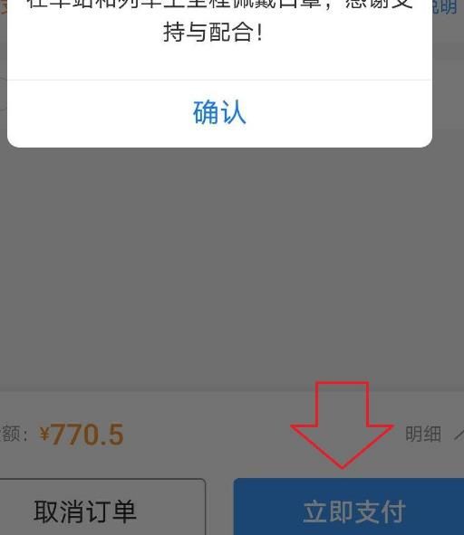 2020十一火车票怎样使用支付宝购买？2020十一火车票使用支付宝购买的方法[多图]图片7