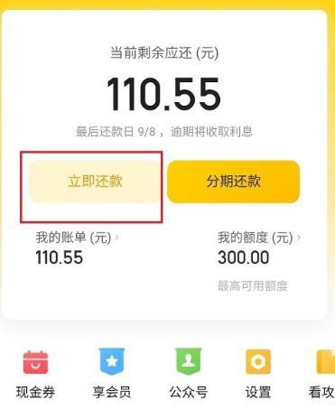 美团月付怎么使用微信还款？美团月付使用微信还款的方法[多图]图片2