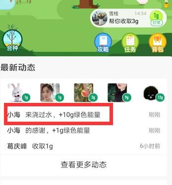 支付宝里蚂蚁森林动态朋友来浇水如何查看？蚂蚁森林动态朋友来浇水查看的方法[多图]图片3