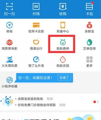 支付宝里蚂蚁森林动态朋友来浇水如何查看？蚂蚁森林动态朋友来浇水查看的方法[多图]图片2