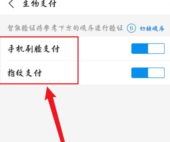 支付宝怎么设置优先使用面部识别支付？支付宝设置优先使用面部识别支付的方法[多图]图片5