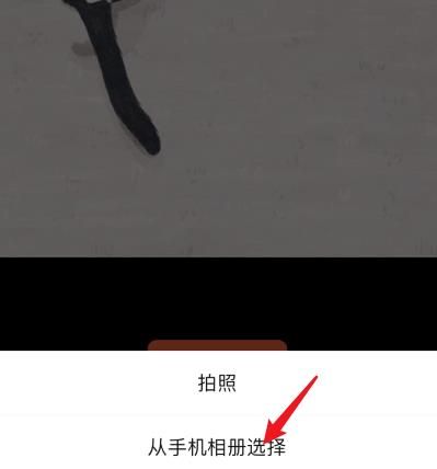 微信小商店怎么修改店铺logo？微信小商店修改店铺logo的方法[多图]图片5