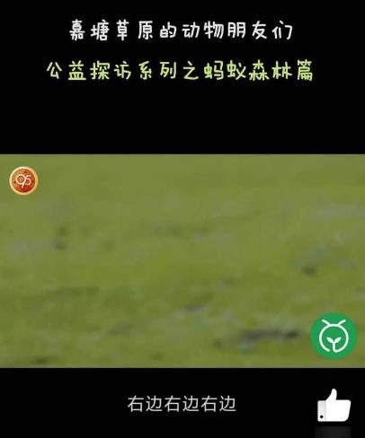 95公益周观如何看公益故事领<a href=https://www.danji9.com/myzy/ target=_blank class=infotextkey>蚂蚁庄园</a>挂件？95公益周观看公益故事领<a href=https://www.danji9.com/myzy/ target=_blank class=infotextkey>蚂蚁庄园</a>挂件的方法[多图]图片5