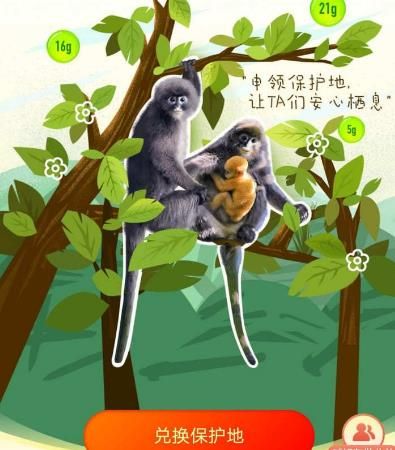 95公益周观如何看公益故事领<a href=https://www.danji9.com/myzy/ target=_blank class=infotextkey>蚂蚁庄园</a>挂件？95公益周观看公益故事领<a href=https://www.danji9.com/myzy/ target=_blank class=infotextkey>蚂蚁庄园</a>挂件的方法[多图]图片4
