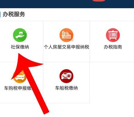 河北农村养老保险手机上怎么缴费？河北农村养老保险手机上缴费的方法[多图]图片2