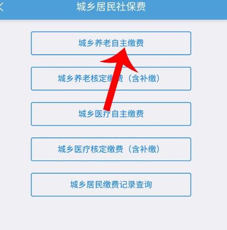 河北农村养老保险手机上怎么缴费？河北农村养老保险手机上缴费的方法[多图]图片4