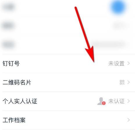 钉钉软件怎么设置钉钉号？钉钉设置钉钉号的方法[多图]图片4