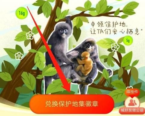 支付宝APP怎么兑换保护地集徽章？支付宝APP兑换保护地集徽章的方法[多图]图片4