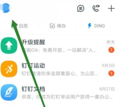 钉钉怎么开启全屏语音功能？钉钉开启全屏语音功能的方法[多图]图片2