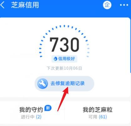 支付宝蚂蚁信用逾期记录怎么修复？支付宝蚂蚁信用逾期记录修复的方法[多图]图片3