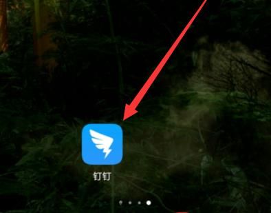钉钉怎么开启全屏语音功能？钉钉开启全屏语音功能的方法[多图]