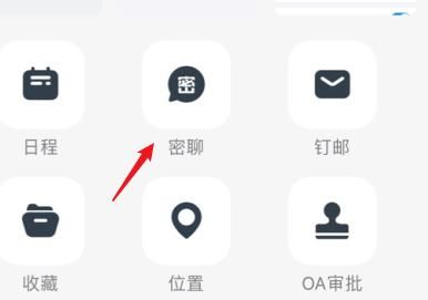 钉钉怎么进行密聊？钉钉进行密聊的方法[多图]图片5