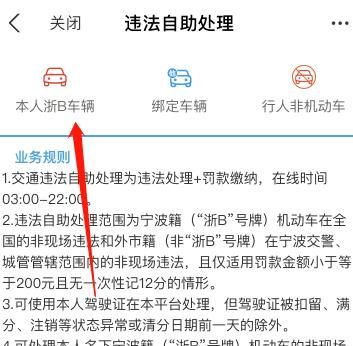 如何在支付宝上查询汽车违章以及缴费？在支付宝上查询汽车违章以及缴费的方法[多图]图片5