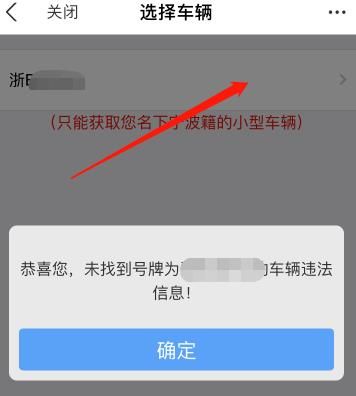 如何在支付宝上查询汽车违章以及缴费？在支付宝上查询汽车违章以及缴费的方法[多图]图片6