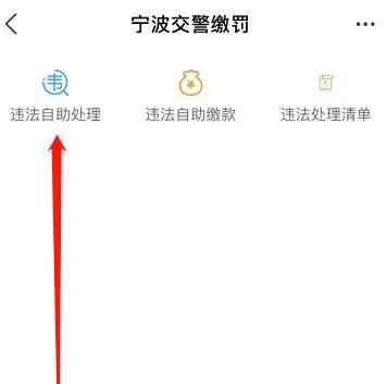 如何在支付宝上查询汽车违章以及缴费？在支付宝上查询汽车违章以及缴费的方法[多图]图片4