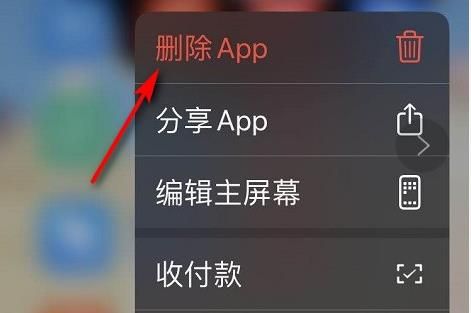 苹果手机微信黑屏怎么恢复正常？苹果手机微信黑屏恢复正常的方法[多图]图片4