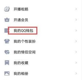 如何查看自己的QQ钱包？查看自己的QQ钱包的方法[多图]图片4