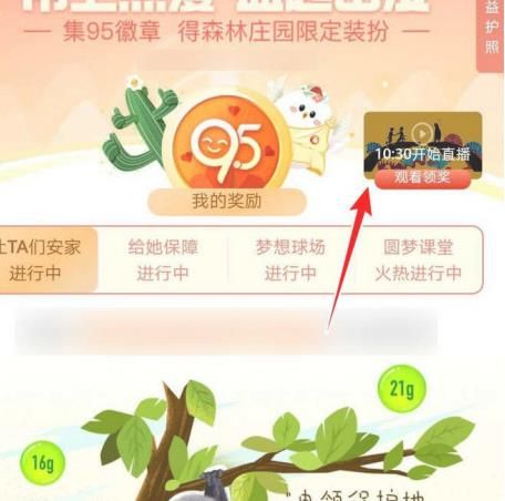 支付宝95公益周活动怎么获取能量保护罩？支付宝95公益周活动获取能量保护罩的方法[多图]图片4