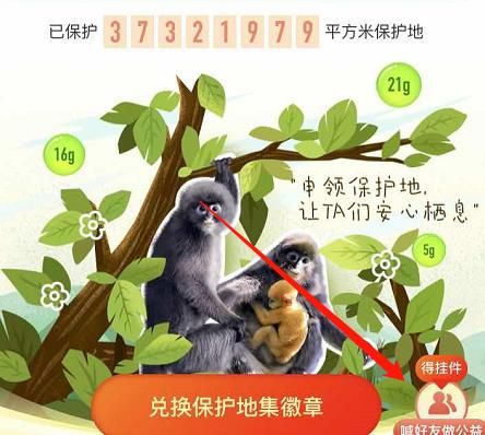 如何邀请好友一起参与<a href=https://www.danji9.com/myzy/ target=_blank class=infotextkey>蚂蚁庄园</a>95公益周活动？邀请好友一起参与<a href=https://www.danji9.com/myzy/ target=_blank class=infotextkey>蚂蚁庄园</a>95公益周活动的方法[多图]图片5
