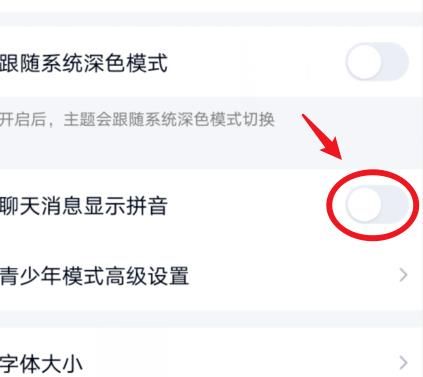 QQ聊天消息怎么设置显示拼音？QQ聊天消息设置显示拼音的方法[多图]图片5