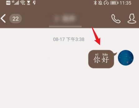 QQ聊天消息怎么设置显示拼音？QQ聊天消息设置显示拼音的方法[多图]图片6