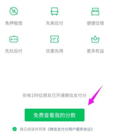 微信怎么查看自己的支付分？微信查看自己的支付分的方法[多图]图片6