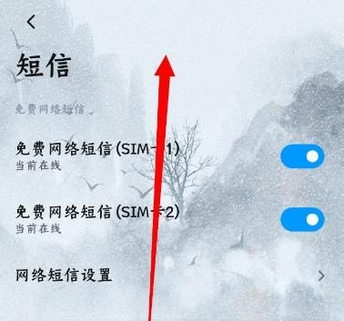 小米MIUI12怎么打开短信送达铃声？MIUI12打开短信送达铃声的方法[多图]图片3