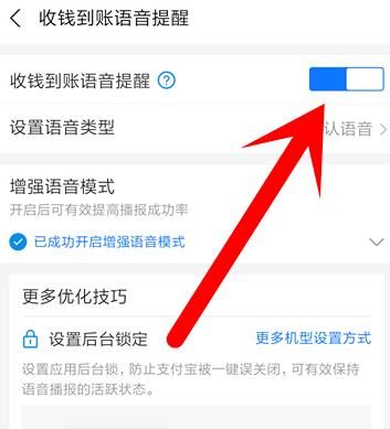 支付宝怎么开启收钱语音？支付宝开启收钱语音的方法[多图]图片6