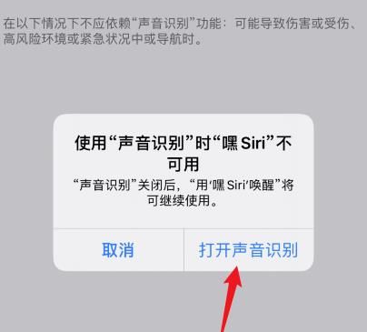 苹果手机ios14系统怎么开启声音识别？苹果手机ios14系统开启声音识别的方法[多图]图片5