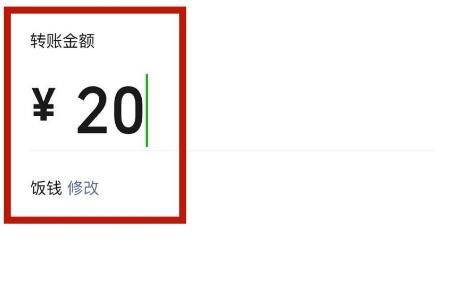 如何在微信转账中添加附加内容？在微信转账中添加附加内容的方法[多图]图片6