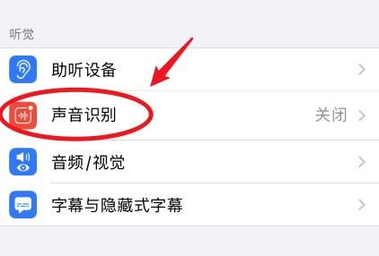 苹果手机ios14系统怎么开启声音识别？苹果手机ios14系统开启声音识别的方法[多图]图片3