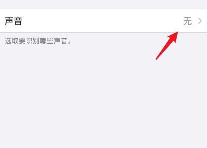 苹果手机ios14系统怎么开启声音识别？苹果手机ios14系统开启声音识别的方法[多图]图片6