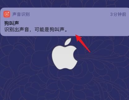 苹果手机ios14系统怎么开启声音识别？苹果手机ios14系统开启声音识别的方法[多图]图片8