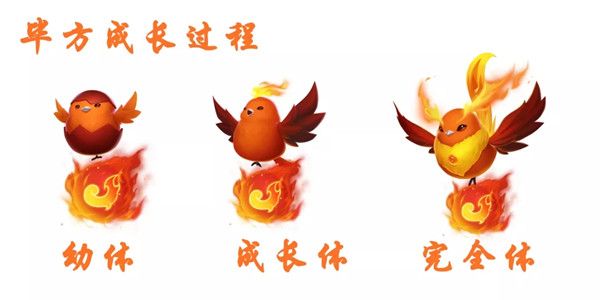 QQ飞车手游毕方怎么样？新宠物获取方法说明[视频][多图]图片2