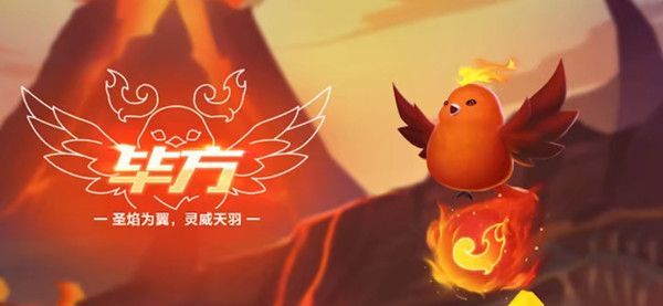 QQ飞车手游毕方怎么样？新宠物获取方法说明[视频][多图]图片1