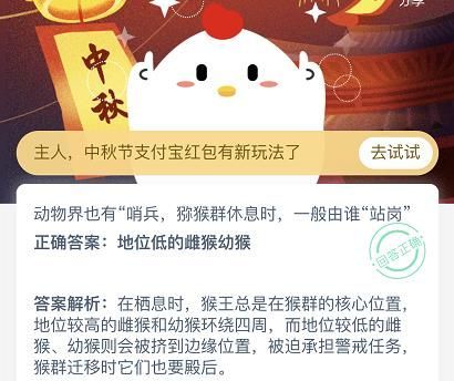 蚂蚁庄园9月30日答案最新，动物界也有哨兵，猕猴群休息时一般由谁站岗？[多图]